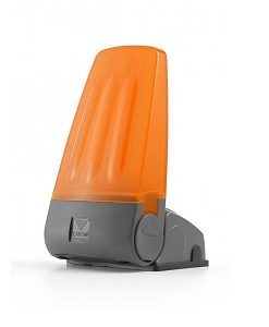 CARDIN MOLLIGHT3