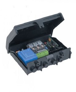 Receptor CARDIN RPQ449